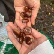 ヒメ日記 2025/10/05 11:29 投稿 かおり アイドルチェッキーナ本店