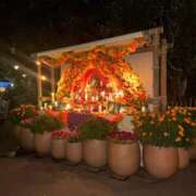 ヒメ日記 2025/11/22 20:59 投稿 朝倉みなみ ザイオン 会員制アロマエステ