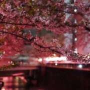 ヒメ日記 2026/03/17 11:59 投稿 朝倉みなみ ザイオン 会員制アロマエステ