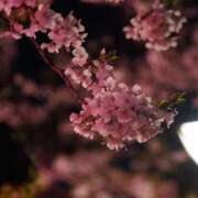 ヒメ日記 2026/03/27 12:09 投稿 朝倉みなみ ザイオン 会員制アロマエステ