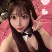 ヒメ日記 2025/10/02 18:17 投稿 もも JAPAN CLUB BUNNY LOUNGE