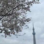 ヒメ日記 2026/03/29 21:11 投稿 もも JAPAN CLUB BUNNY LOUNGE