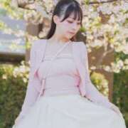 ヒメ日記 2026/04/04 14:59 投稿 もも JAPAN CLUB BUNNY LOUNGE