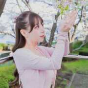 ヒメ日記 2026/04/05 10:26 投稿 もも JAPAN CLUB BUNNY LOUNGE