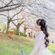 ヒメ日記 2026/04/05 21:49 投稿 もも JAPAN CLUB BUNNY LOUNGE