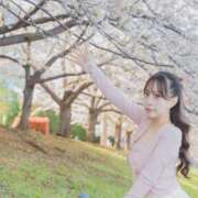 ヒメ日記 2026/04/06 23:28 投稿 もも JAPAN CLUB BUNNY LOUNGE