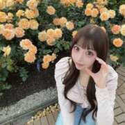 ヒメ日記 2026/05/10 12:30 投稿 もも JAPAN CLUB BUNNY LOUNGE