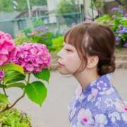 ヒメ日記 2026/06/15 17:15 投稿 もも JAPAN CLUB BUNNY LOUNGE