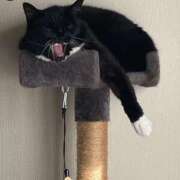 ヒメ日記 2025/08/18 22:08 投稿 京子 Club-Embassy