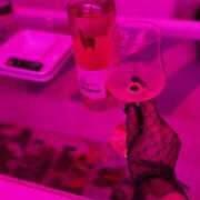 ヒメ日記 2025/11/12 08:35 投稿 京子 Club-Embassy