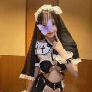 ヒメ日記 2025/08/08 16:13 投稿 虹湖-Niko- 姉新地