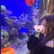 ヒメ日記 2025/10/12 14:02 投稿 一ノ瀬うい ウルトラプラチナム