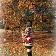 ヒメ日記 2025/11/26 16:41 投稿 一ノ瀬うい ウルトラプラチナム