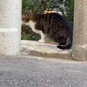 ヒメ日記 2026/02/01 22:11 投稿 一ノ瀬うい ウルトラプラチナム