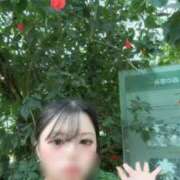 ヒメ日記 2026/06/03 08:21 投稿 一ノ瀬うい ウルトラプラチナム