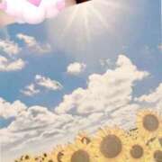 ヒメ日記 2025/08/12 12:21 投稿 ゆう 出会い系人妻ネットワーク 渋谷〜目黒編