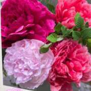 ヒメ日記 2025/09/05 19:21 投稿 ゆう 出会い系人妻ネットワーク 渋谷〜目黒編