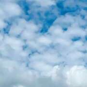 ヒメ日記 2025/09/20 11:21 投稿 ゆう 出会い系人妻ネットワーク 渋谷〜目黒編