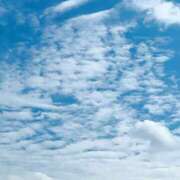 ヒメ日記 2025/09/23 11:22 投稿 ゆう 出会い系人妻ネットワーク 渋谷〜目黒編