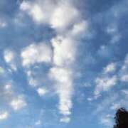 ヒメ日記 2025/11/18 12:22 投稿 ゆう 出会い系人妻ネットワーク 渋谷〜目黒編