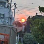 ヒメ日記 2025/08/23 16:45 投稿 ぷりん 若葉