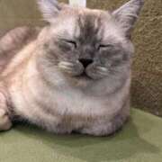 ヒメ日記 2025/09/03 12:35 投稿 ぷりん 若葉