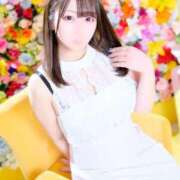 ヒメ日記 2025/12/02 22:55 投稿 ぷりん 若葉