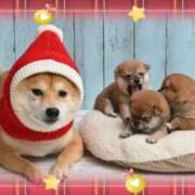 ヒメ日記 2025/12/25 20:19 投稿 みれい 熟女総本店 堺東店