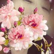 ヒメ日記 2026/03/24 16:15 投稿 みれい 熟女総本店 堺東店