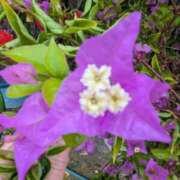 ヒメ日記 2026/01/01 00:08 投稿 夏枝(なつえ占めしたくなる美貌 五十路有閑マダム～沖縄店～