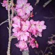 ヒメ日記 2026/02/08 12:27 投稿 夏枝(なつえ占めしたくなる美貌 五十路有閑マダム～沖縄店～