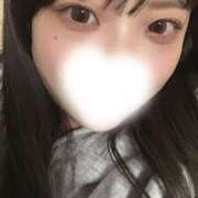 ヒメ日記 2025/11/28 17:17 投稿 さくらこ 神田ハンドメイド