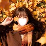 さくらこ レアだよ? 神田ハンドメイド