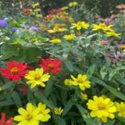 ヒメ日記 2025/10/01 11:51 投稿 シズカ OLの品格 クラブアッシュ