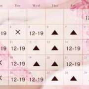 ヒメ日記 2025/10/28 13:27 投稿 シズカ OLの品格 クラブアッシュ