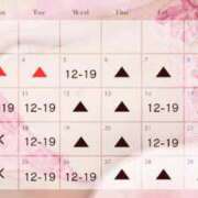 ヒメ日記 2025/10/29 13:31 投稿 シズカ OLの品格 クラブアッシュ