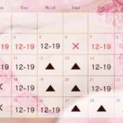 ヒメ日記 2025/10/30 22:59 投稿 シズカ OLの品格 クラブアッシュ