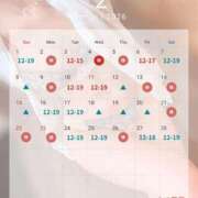 ヒメ日記 2026/02/03 13:57 投稿 シズカ OLの品格 クラブアッシュ