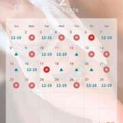 ヒメ日記 2026/02/06 14:45 投稿 シズカ OLの品格 クラブアッシュ