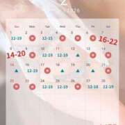 ヒメ日記 2026/02/07 11:10 投稿 シズカ OLの品格 クラブアッシュ