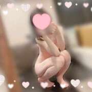 シズカ ぴんく全身網タイツ💝 OLの品格 クラブアッシュ