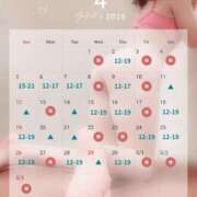 ヒメ日記 2026/04/01 16:59 投稿 シズカ OLの品格 クラブアッシュ