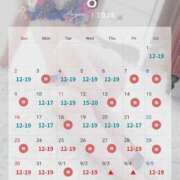 ヒメ日記 2026/08/23 15:45 投稿 シズカ OLの品格 クラブアッシュ