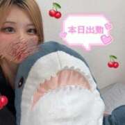 ヒメ日記 2025/07/28 17:48 投稿 チカ　千魚 女の子市場