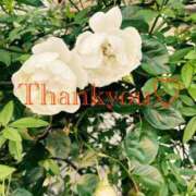 ヒメ日記 2025/08/01 20:05 投稿 黒崎（くろさき） 熟女の風俗最終章 大宮店