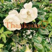 ヒメ日記 2025/08/07 23:25 投稿 黒崎（くろさき） 熟女の風俗最終章 大宮店