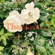 ヒメ日記 2025/08/25 02:20 投稿 黒崎（くろさき） 熟女の風俗最終章 大宮店