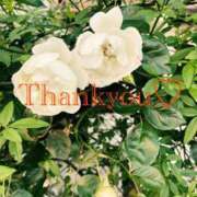 ヒメ日記 2025/09/05 02:45 投稿 黒崎（くろさき） 熟女の風俗最終章 大宮店