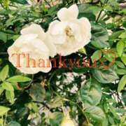 ヒメ日記 2025/10/05 12:27 投稿 黒崎（くろさき） 熟女の風俗最終章 大宮店