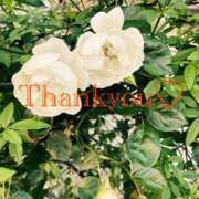 ヒメ日記 2025/10/27 22:25 投稿 黒崎（くろさき） 熟女の風俗最終章 大宮店